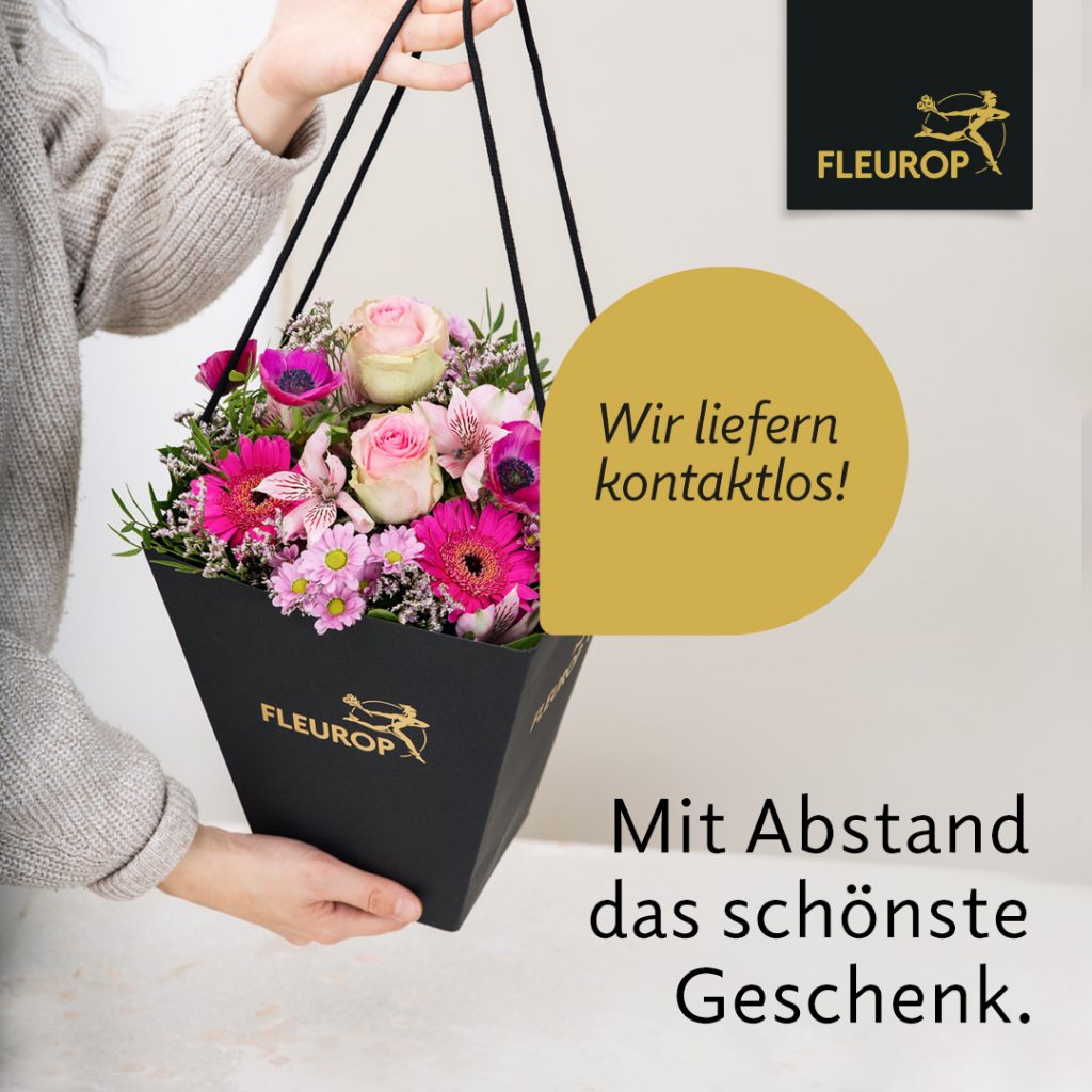 Featured image of post Blumen Risse Ingelheim Angebote - Blumen günstig kaufen günstiger als jeder preisvergleich finde täglich neue angebote und spare bei deinem einkauf mydealz.